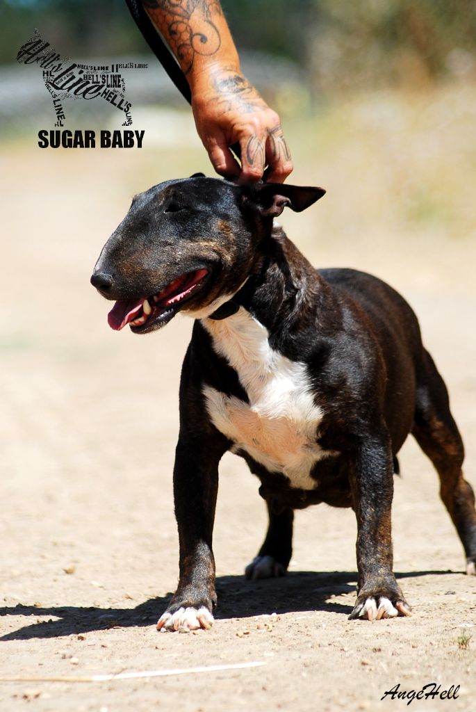 Sugar baby du siatochi